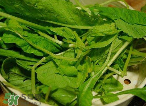 蘿卜纓孕婦能吃嗎？蘿卜纓可以生吃嗎