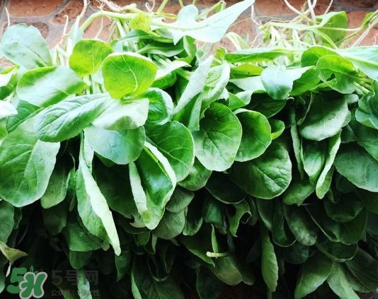 蘿卜纓要焯水嗎？蘿卜纓不能和什么一起吃