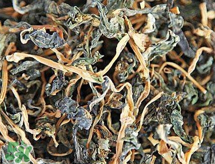 梅干菜是哪里的特產(chǎn)？梅干菜是發(fā)物嗎