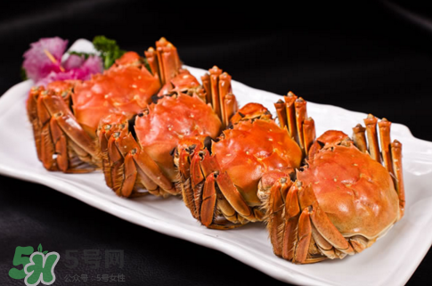 螃蟹冷凍還是冷藏保存？螃蟹冷凍保存多久？