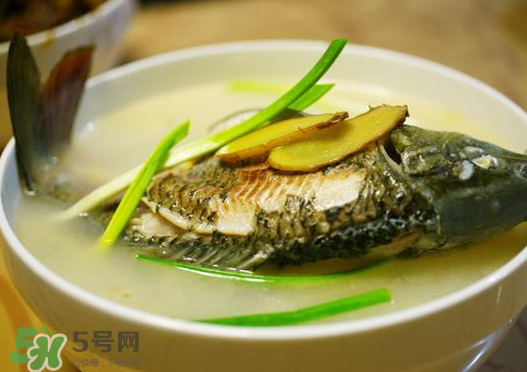 鯉魚(yú)湯怎么做好吃？鯉魚(yú)湯里面可以放什么？