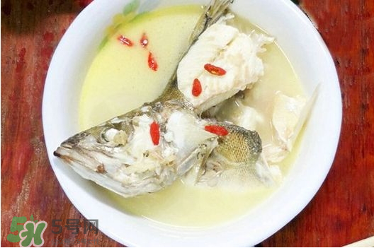 鯉魚(yú)湯怎么做好吃？鯉魚(yú)湯里面可以放什么？