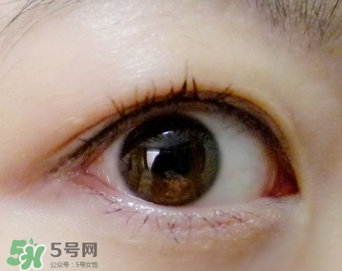 赫蓮娜黃金年代睫毛膏好用不 怎么樣 赫蓮娜黃金年代睫毛膏好用不 怎么樣