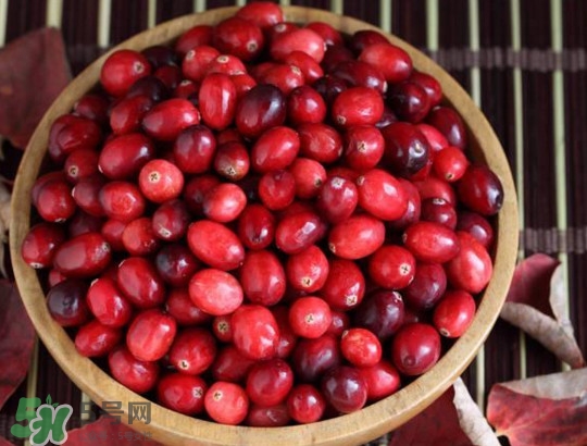 蔓越莓什么時(shí)候成熟？蔓越莓什么時(shí)候吃最好