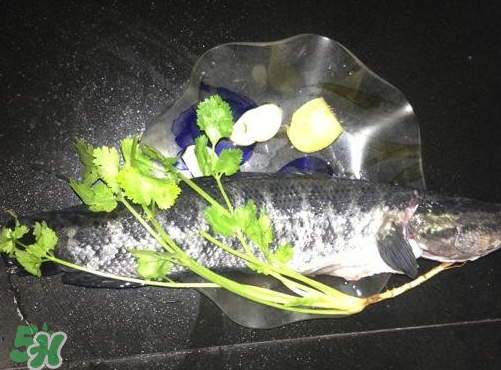 黑魚(yú)湯對(duì)傷口有好處嗎？黑魚(yú)湯的做法術(shù)后恢復(fù)