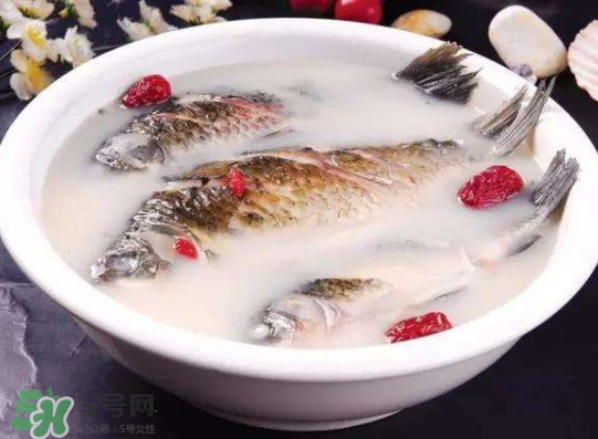 鯽魚湯里可以放什么菜最好？鯽魚燉湯放什么菜？