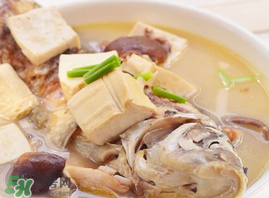 鯽魚湯可以放香菇嗎？香菇鯽魚湯的做法
