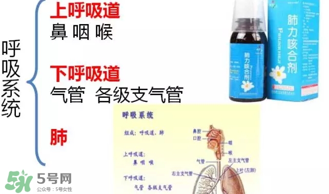 肺力咳合劑多少錢一瓶？