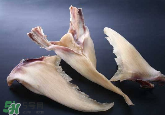 干魚(yú)翅怎么保存？魚(yú)翅可以放多久？