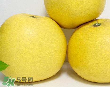 蜜柚是哪個(gè)季節(jié)的水果？蜜柚和沙田柚的區(qū)別是什么？