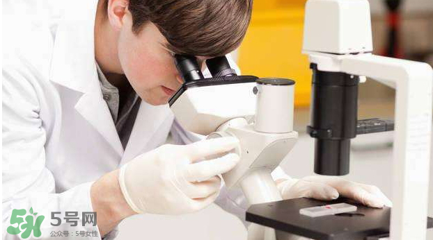 素浴口紅怎么樣？素浴口紅是什么牌子？