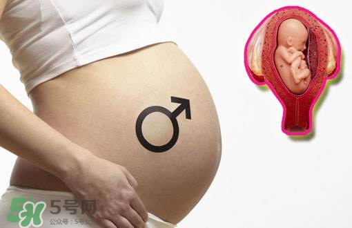 導樂分娩怎么樣？導樂分娩全過程