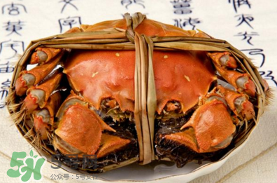 香辣蟹怎么做最好吃？香辣蟹怎么處理螃蟹？