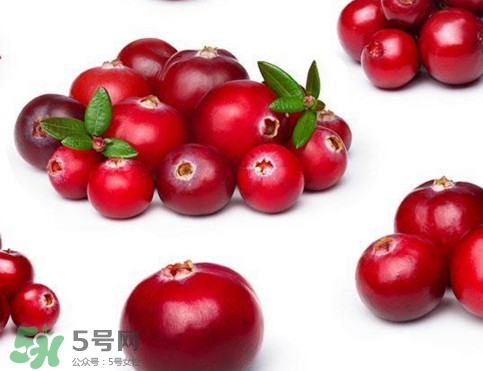 蔓越莓是藍莓嗎？蔓越莓是哪里產(chǎn)的