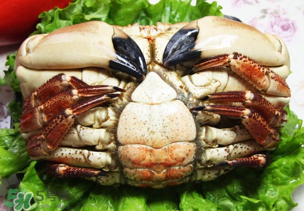 凍螃蟹蒸之前需要解凍嗎？凍螃蟹蒸多長時(shí)間？