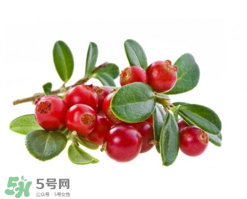 蔓越莓在中國有嗎？蔓越莓怎么辨別真假