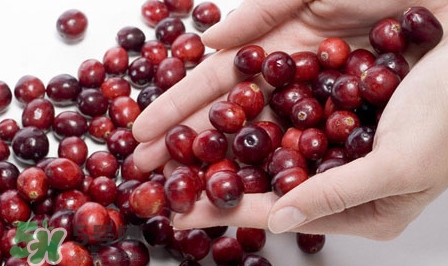 蔓越莓什么人不能吃？蔓越莓干和藍(lán)梅干孕婦吃哪個(gè)好