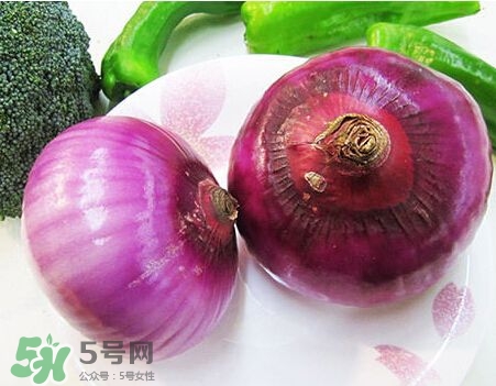 洋蔥狗狗能吃嗎？狗狗吃了洋蔥怎么辦？