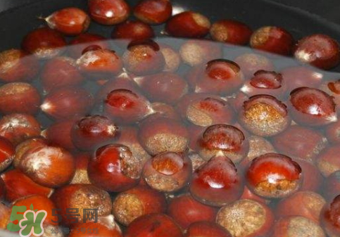 板栗用冷水還是熱水煮？煮板栗用冷水還是熱水？