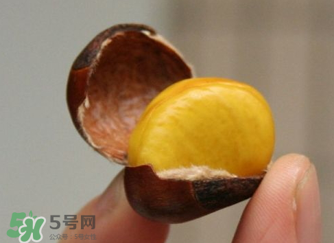 板栗用冷水還是熱水煮？煮板栗用冷水還是熱水？