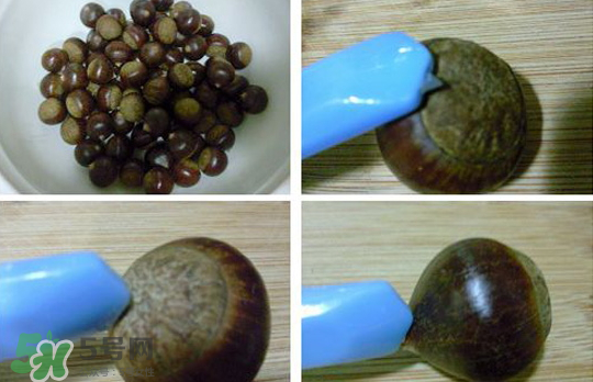 煮板栗要切口嗎？煮板栗怎么切口？