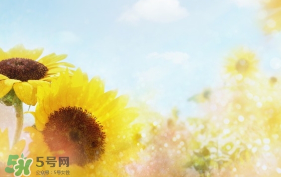 見封滾是什么意思？