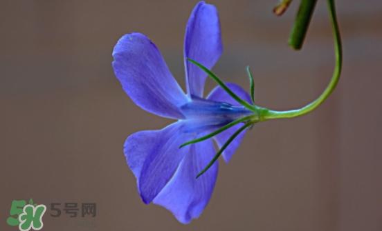 見封滾是什么意思？