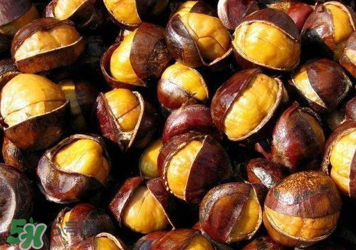 板栗蒸多久才熟？蒸板栗怎么好剝皮？