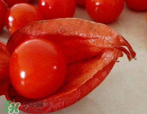 紅姑娘皮泡水治咽炎嗎？紅姑娘皮泡水的副作用