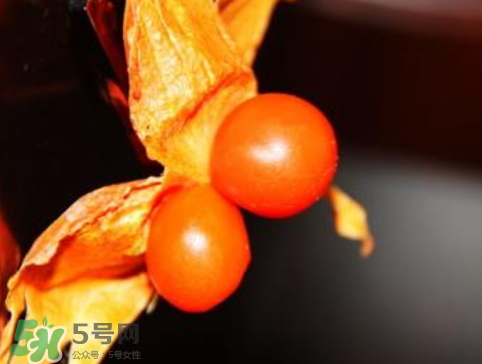 紅姑娘皮泡水治咽炎嗎？紅姑娘皮泡水的副作用