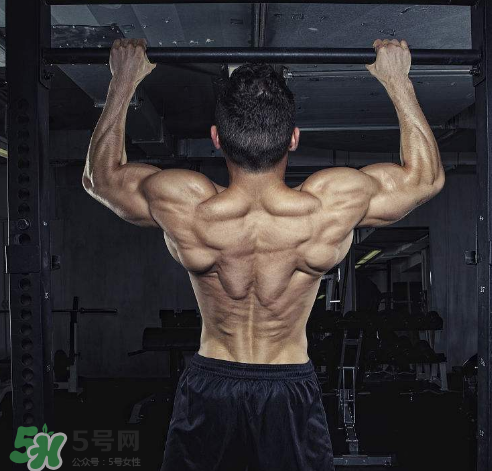 引體向上背部怎么發(fā)力？引體向上發(fā)力技巧