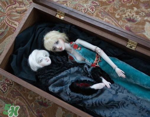 Enchanted Doll多少錢？Enchanted Doll哪里買？