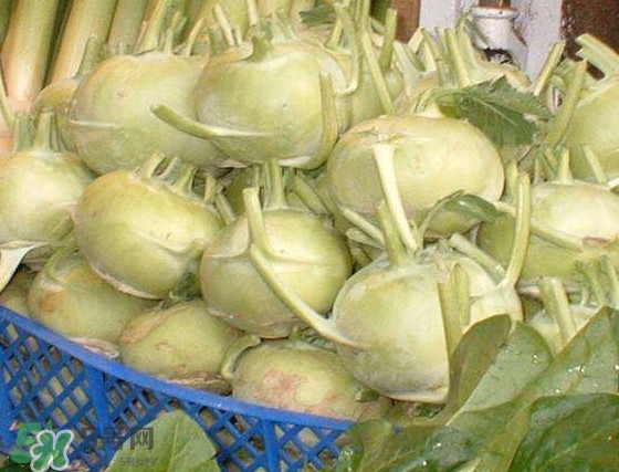 苤藍(lán)怎么腌制好吃？苤藍(lán)有什么營養(yǎng)