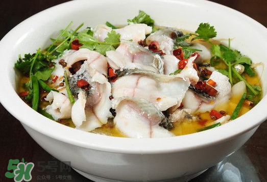 水煮魚可以放什么蔬菜？水煮魚可以放香菇嗎？