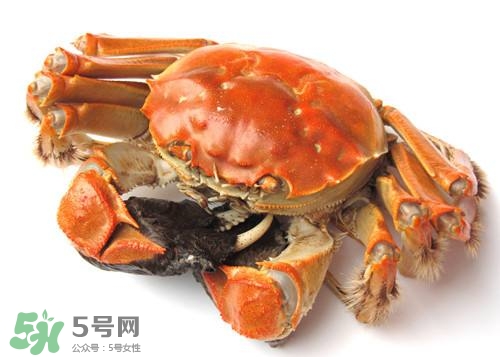 螃蟹里面有寄生蟲嗎？螃蟹有寄生蟲還可以吃嗎？
