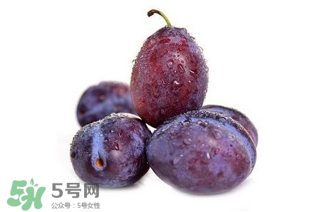 西梅可以放冰箱嗎？西梅放冰箱冷藏還是冷凍？