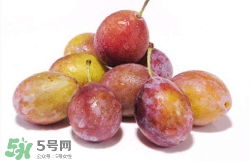 西梅可以放冰箱嗎？西梅放冰箱冷藏還是冷凍？