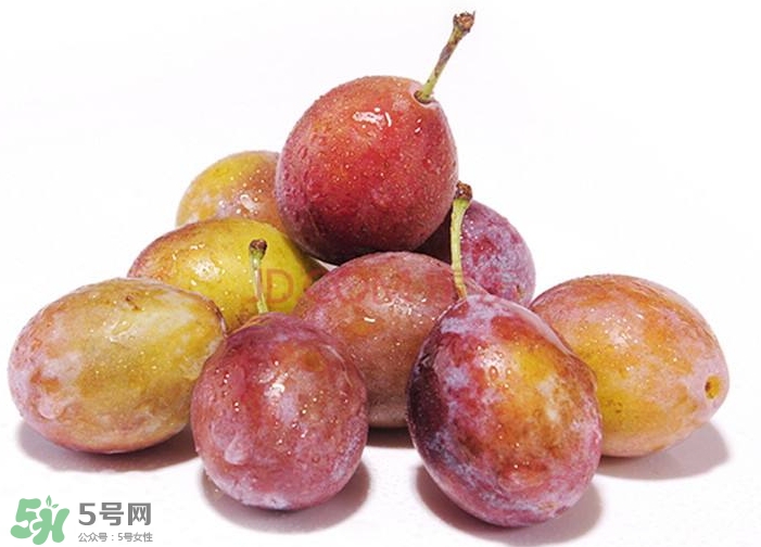 西梅汁怎么做？西梅汁的功效與作用 