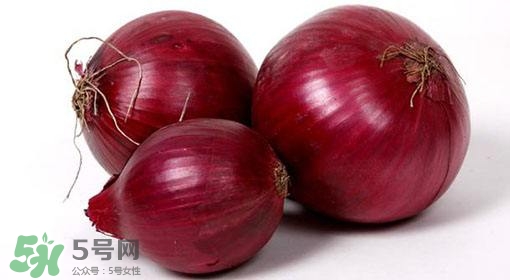 洋蔥狗狗能吃嗎？狗狗吃了洋蔥怎么辦？