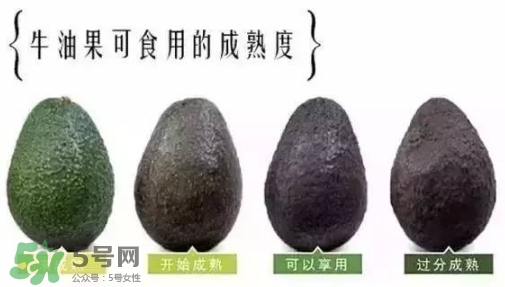 牛油果是什么味道？牛油果是甜的嗎？