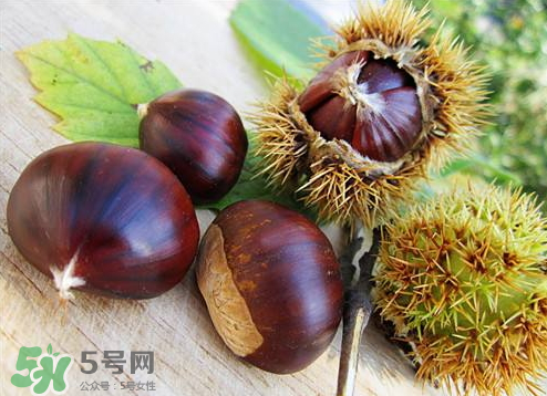 板栗泡酒真的能壯陽嗎？板栗泡酒有什么功效？