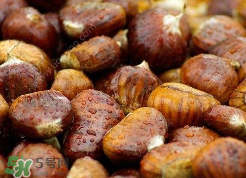 板栗泡酒真的能壯陽嗎？板栗泡酒有什么功效？