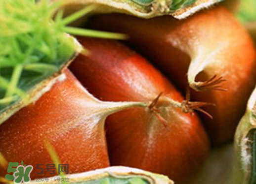 板栗泡酒要去皮嗎？板栗泡酒不去皮可以嗎？