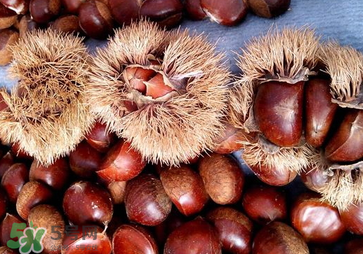 板栗泡酒要去皮嗎？板栗泡酒不去皮可以嗎？