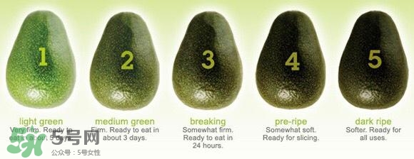 牛油果隔夜了還能吃嗎？牛油果可以冷凍保存嗎？