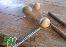 牛油果核能吃嗎？牛油果核怎么種盆栽？