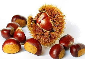 板栗為什么容易生蟲？板栗長蟲怎么辦？