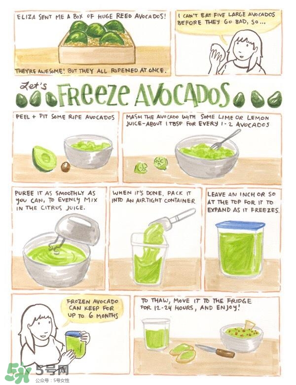 牛油果隔夜了還能吃嗎？牛油果可以冷凍保存嗎？