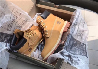 timberland鞋碼偏大嗎？timberland鞋碼偏大還是偏?。?>
         				<strong>timberland鞋碼偏大嗎？timberland鞋碼偏大還是偏??？</strong>
         			</a>
         				<p>timberland的靴子現(xiàn)在特別火，這個牌子的靴子雖然款式不多，但是都非常經(jīng)典，而且價(jià)格也不是很貴，性價(jià)比很高。下面5號網(wǎng)小編給大家講講timberland鞋碼偏大嗎？timberland鞋碼偏大還是偏??？</p>
         		</li> 
                                               <li>
         			<a href=