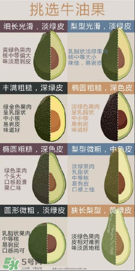 牛油果怎么挑選？牛油果多少錢一斤？